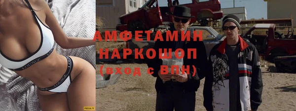 индика Богородск