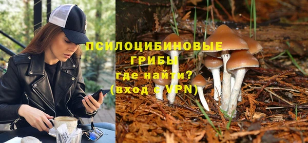 ALPHA PVP Богородицк