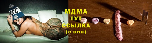 индика Богородск