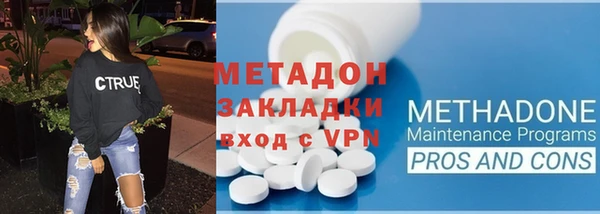 индика Богородск