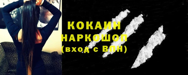индика Богородск