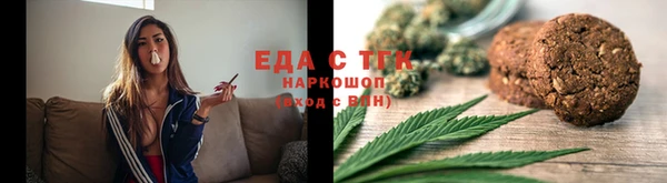 индика Богородск