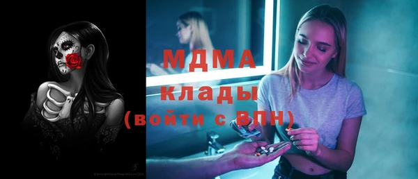 индика Богородск