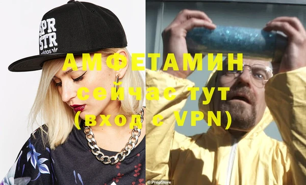 индика Богородск