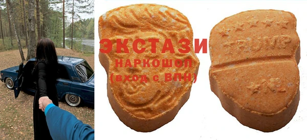индика Богородск