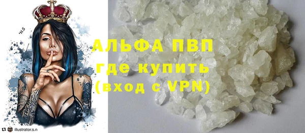 индика Богородск