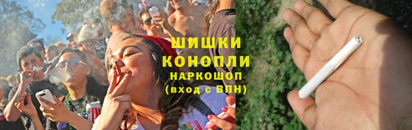 индика Богородск