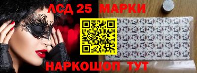 стаф Гатчина