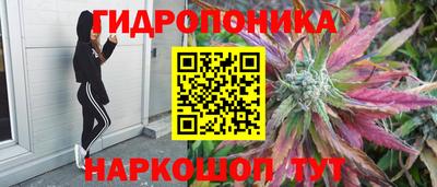 прущие крисы Балашиха
