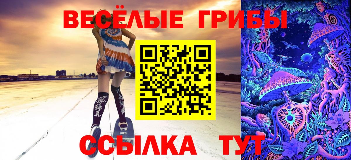 Галлюциногенные грибы ЛСД Бор