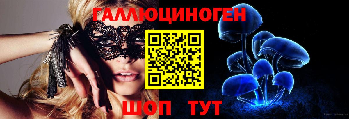 Псилоцибиновые грибы Psilocybine cubensis  дарнет шоп  Бор  Вход с VPN 