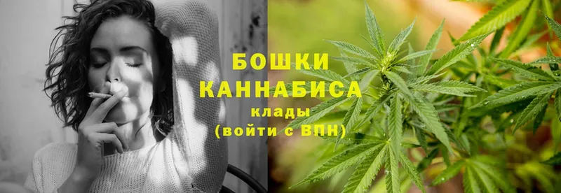 Канабис индика  Бор 